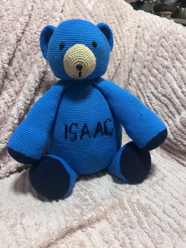 Customized Bleu Teddy