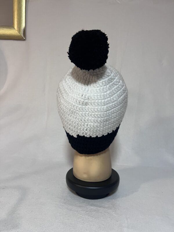 Cap 103 - Image 4