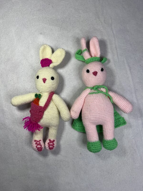 Bunny Pair 101